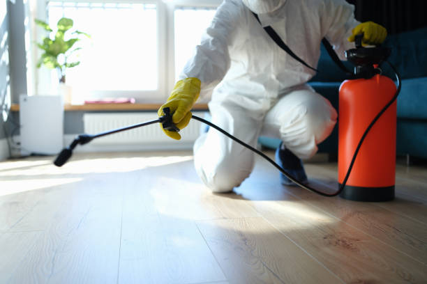 Reliable Odor Removal contractor in Hillsboro, MO by Trauma Clean Pros
